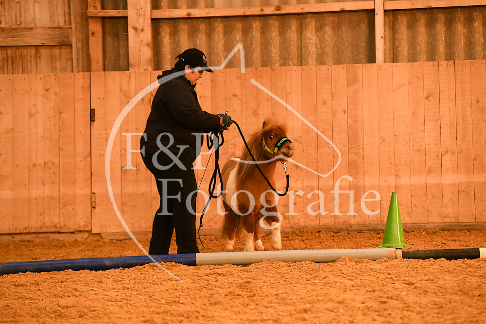 20180407-064602-JAS-0611.jpg
