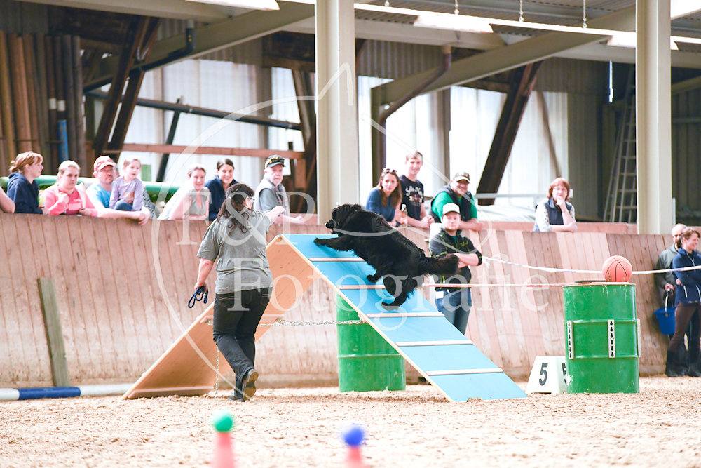 20180408-115507-PRI-1873.jpg