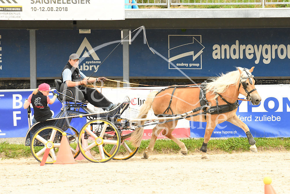 20180527-105307-PRI-2574.jpg