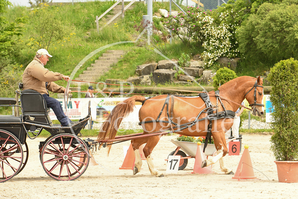 20180527-105807-PRI-2587.jpg