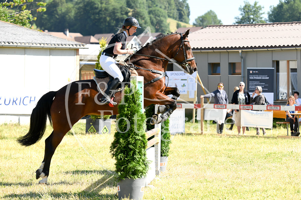 20180623-090433-PRI-3517.jpg