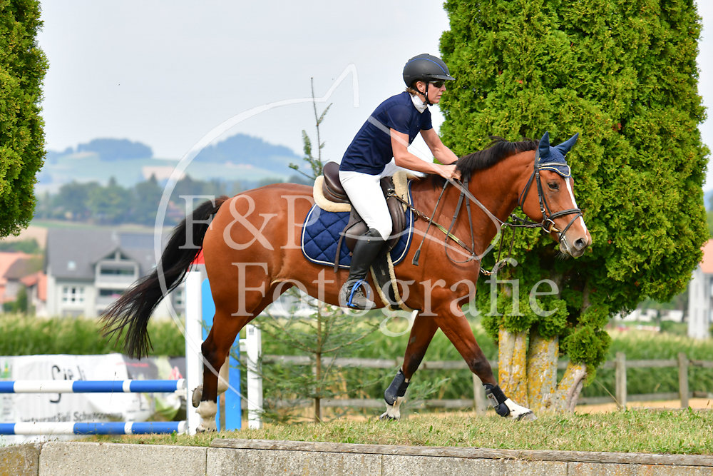 20180804154221-PRI-4810.jpg