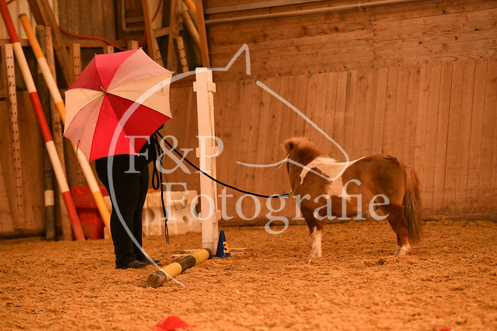 20180407-064513-JAS-0607.jpg