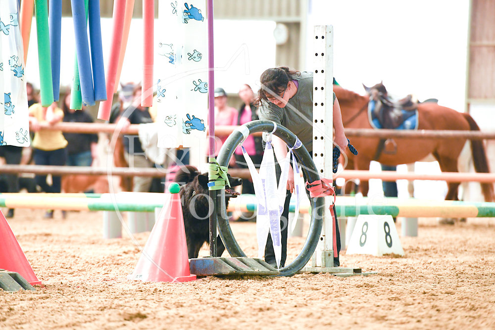 20180408-115521-PRI-1874.jpg