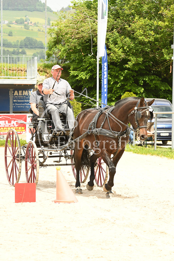 20180527-133058-PRI-2865.jpg