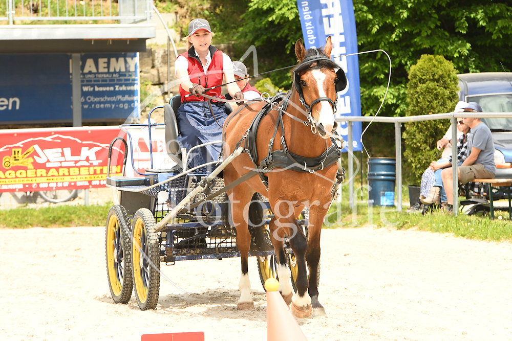 20180527-133354-PRI-2874.jpg
