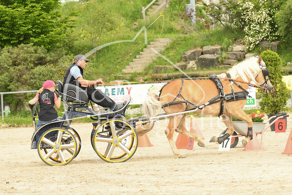 20180527-105248-PRI-2573.jpg