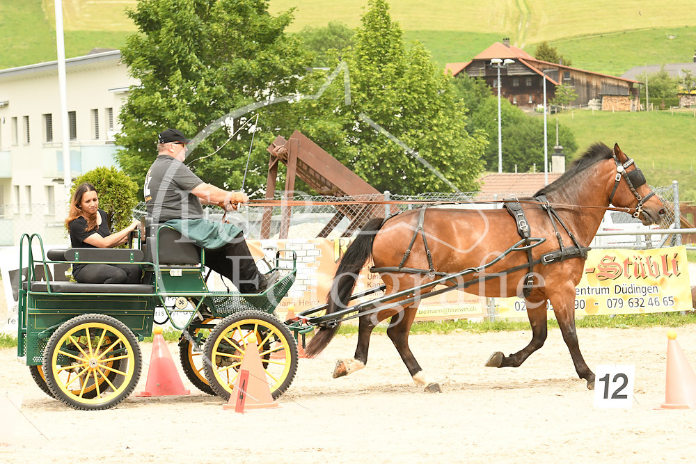 20180527-110515-PRI-2606.jpg