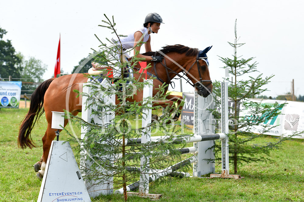 20180804150452-PRI-4705.jpg
