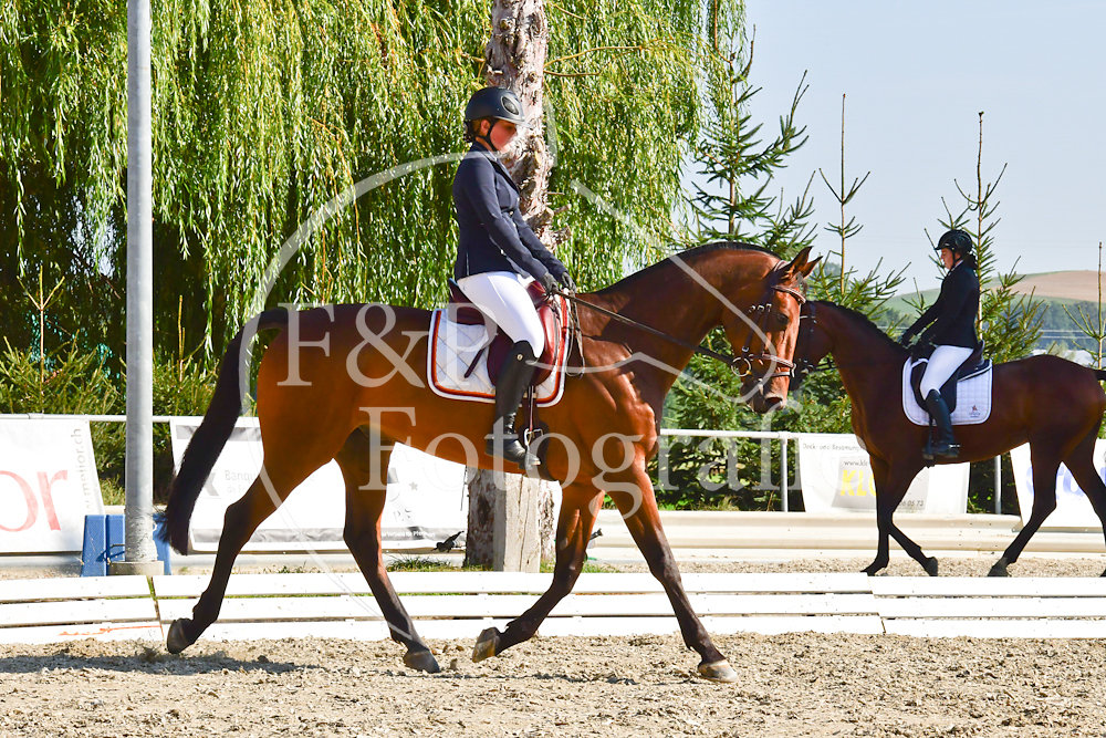 20180908091230-PRI-5566.jpg