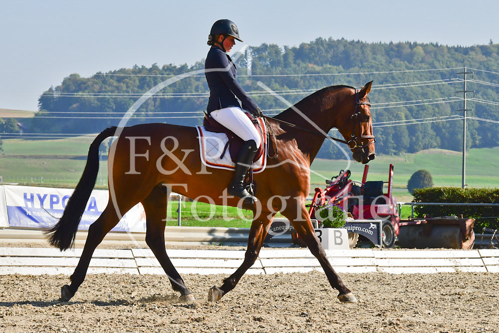 20180908091231-PRI-5567.jpg