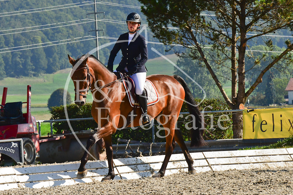 20180908091249-PRI-5568.jpg