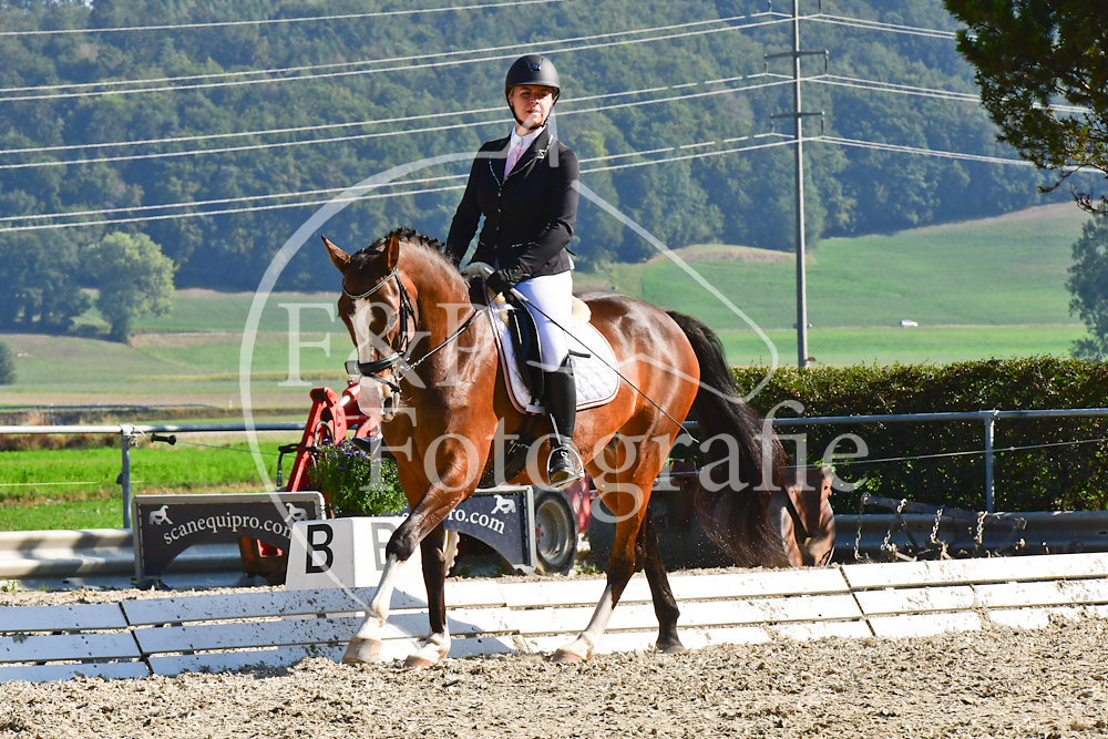 20180908092335-PRI-5597.jpg