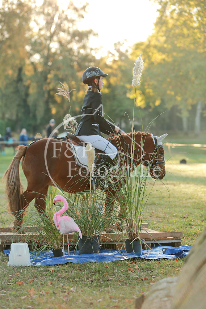 20181013084412-NIC-5792.jpg