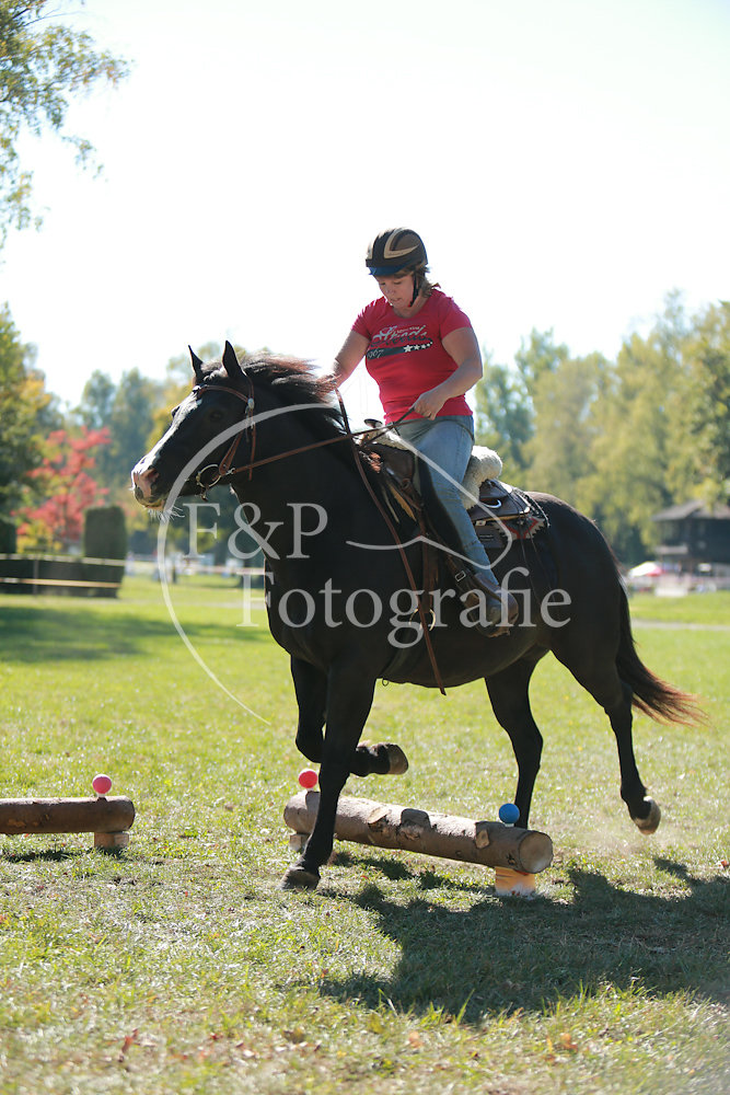 20181013133908-NIC-6208.jpg