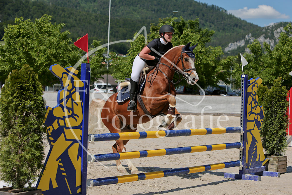 20190602153304-NIC-8452.jpg
