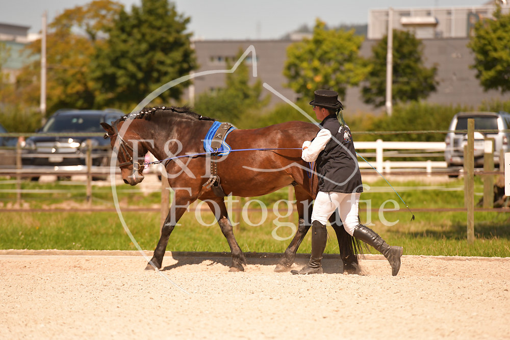 20190825134128-PRI-3097.jpg